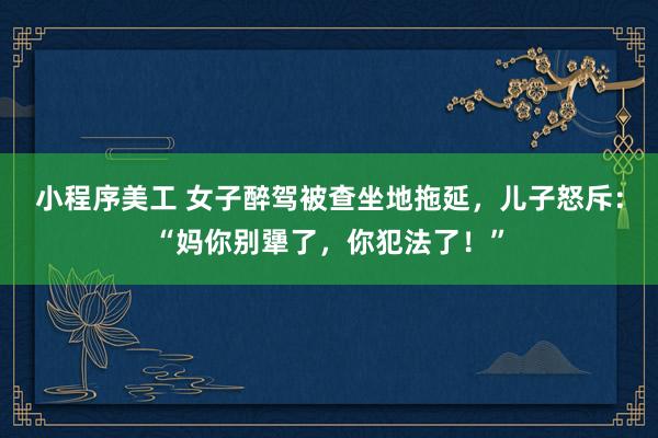 小程序美工 女子醉驾被查坐地拖延，儿子怒斥：“妈你别犟了，你犯法了！”